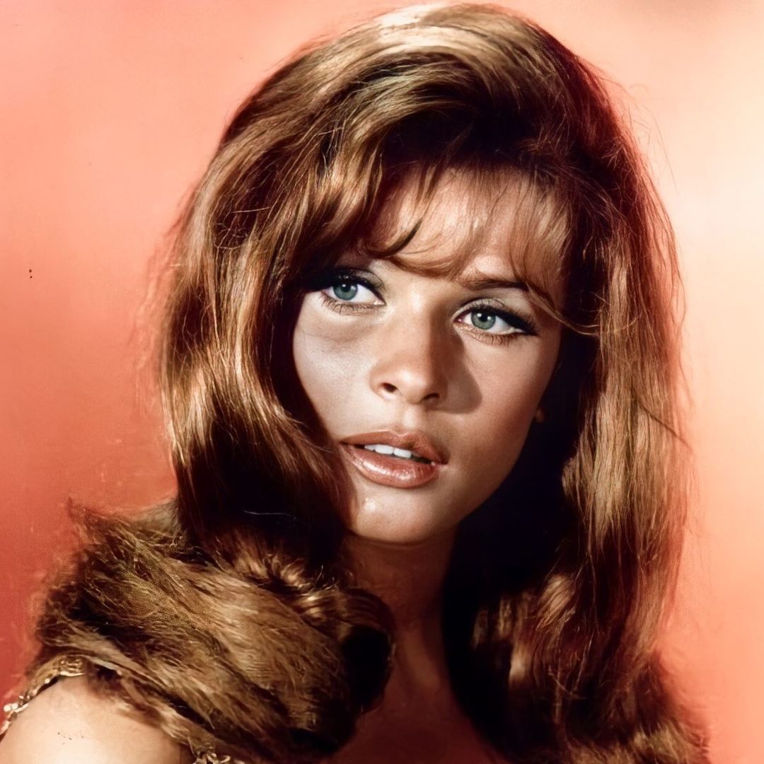 182039177_497983148219195_598131339188787062_n