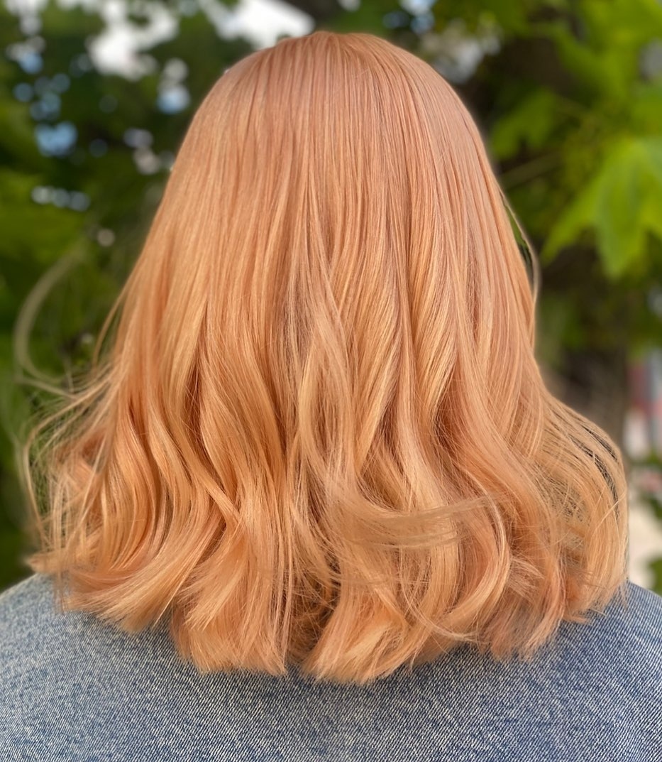 286227080_441797067285544_5510693848437964976_n