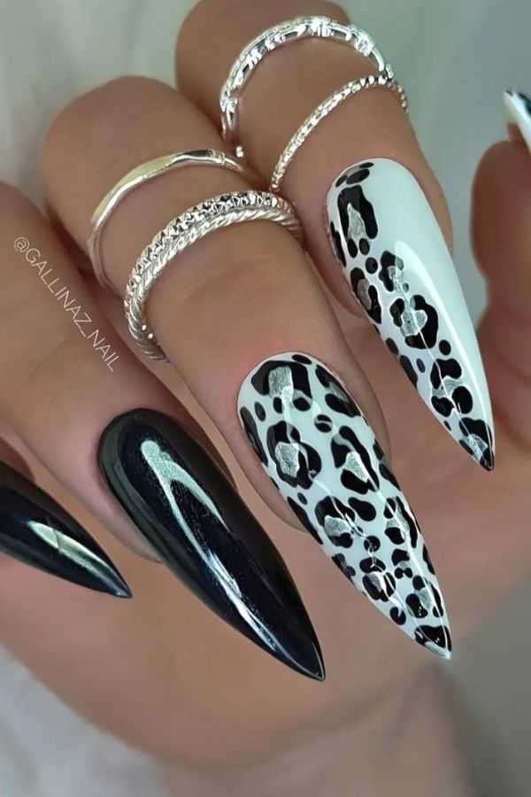 Animal Print Extravaganza