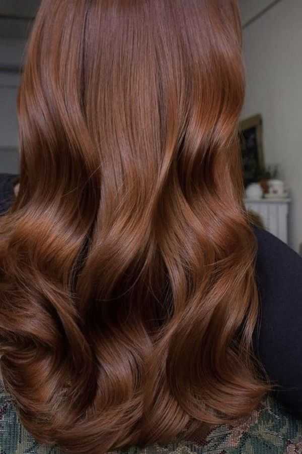 chestnut-elegance Chestnut Elegance