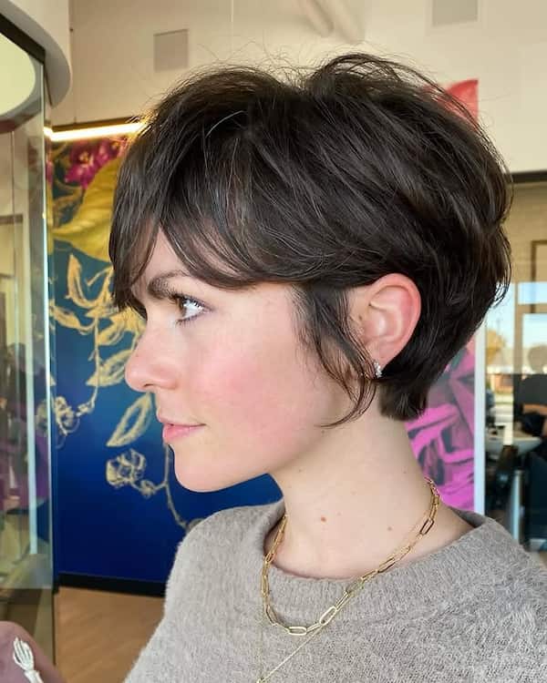 Choppy Pixie Bob