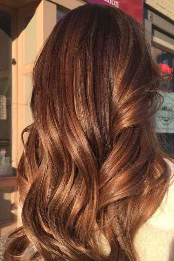 Dimensional Chestnut