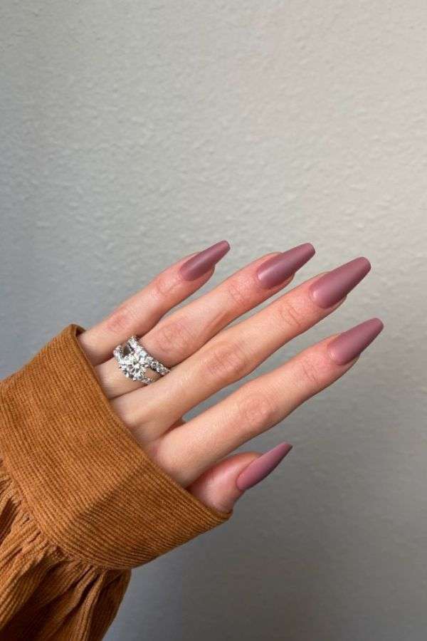 Dusty Rose Velvet Sophistication