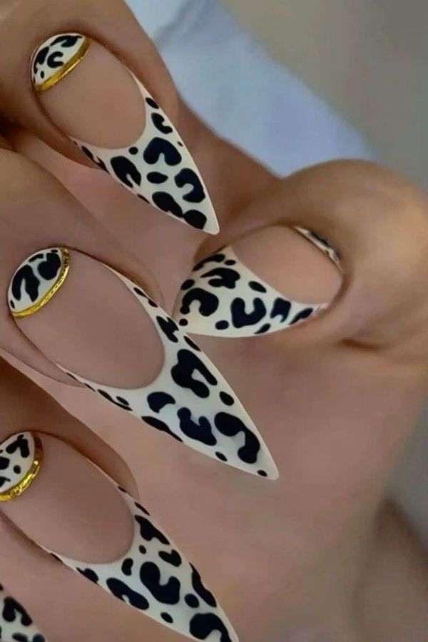 Fierce Animal Print