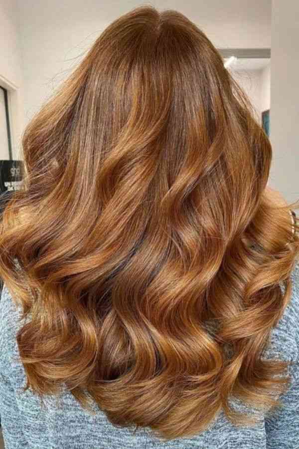 golden-oak-infusion Golden Oak Infusion