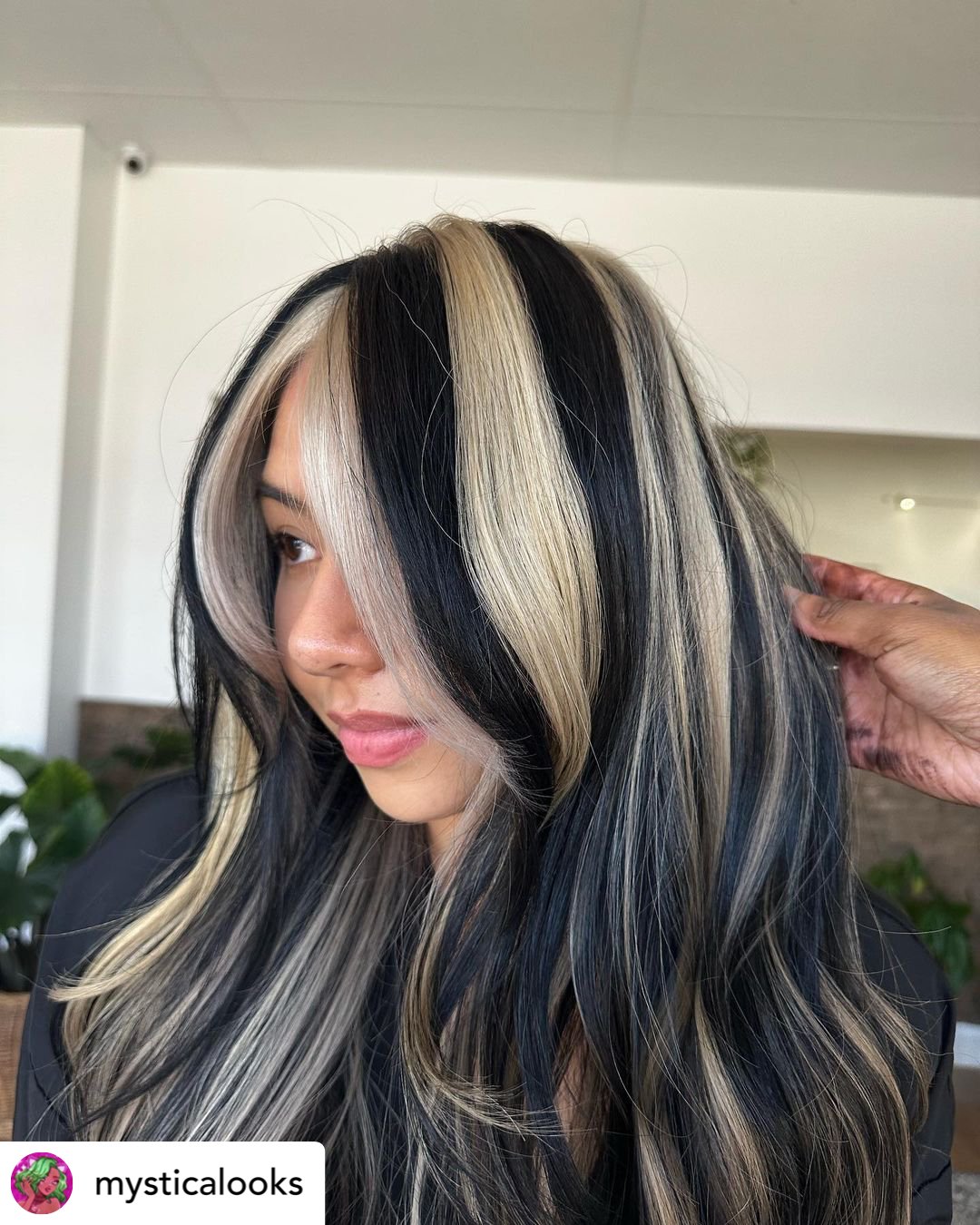 hair-color-ideas-for-brown-hair-13 Beautiful chunky black and white skunk highlights on long hair.