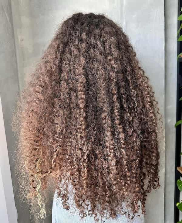 long-curly-haircut Long Curly Haircut