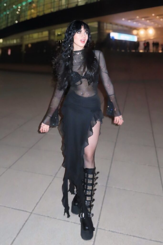 metal-concert-outfit-ideas-11-683x1024-1 Sheer Dress and Mini Skirt