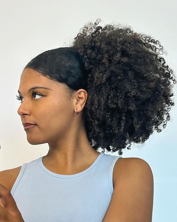 mid-low-sleek-puff Mid-low Sleek Puff