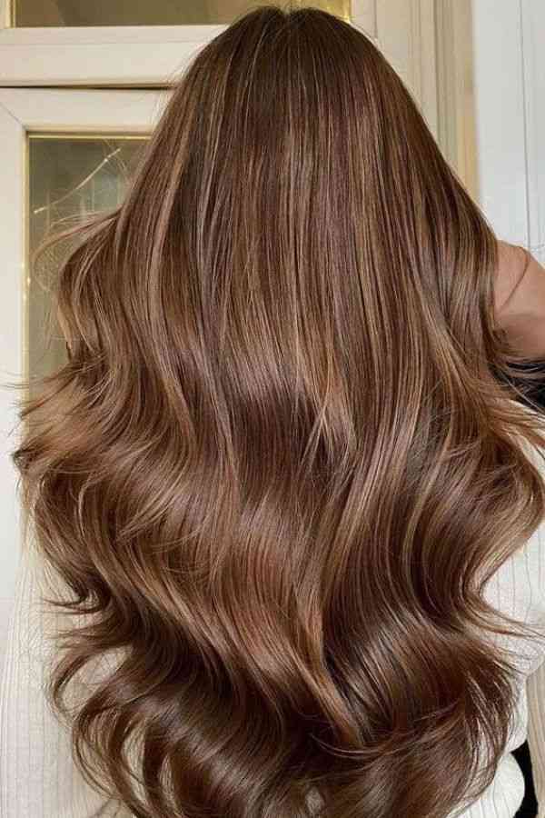 Sandy Brown Elegance