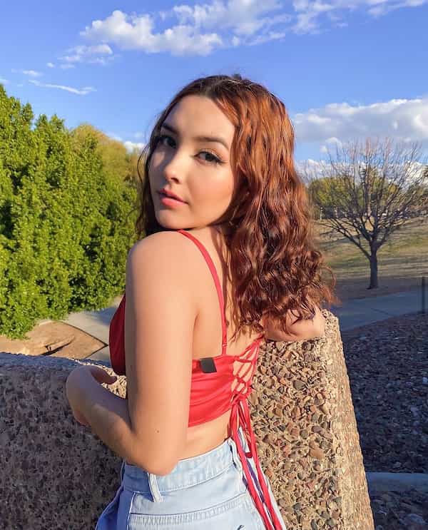 simple-brown-curly-hair Simple Brown Curly Hair